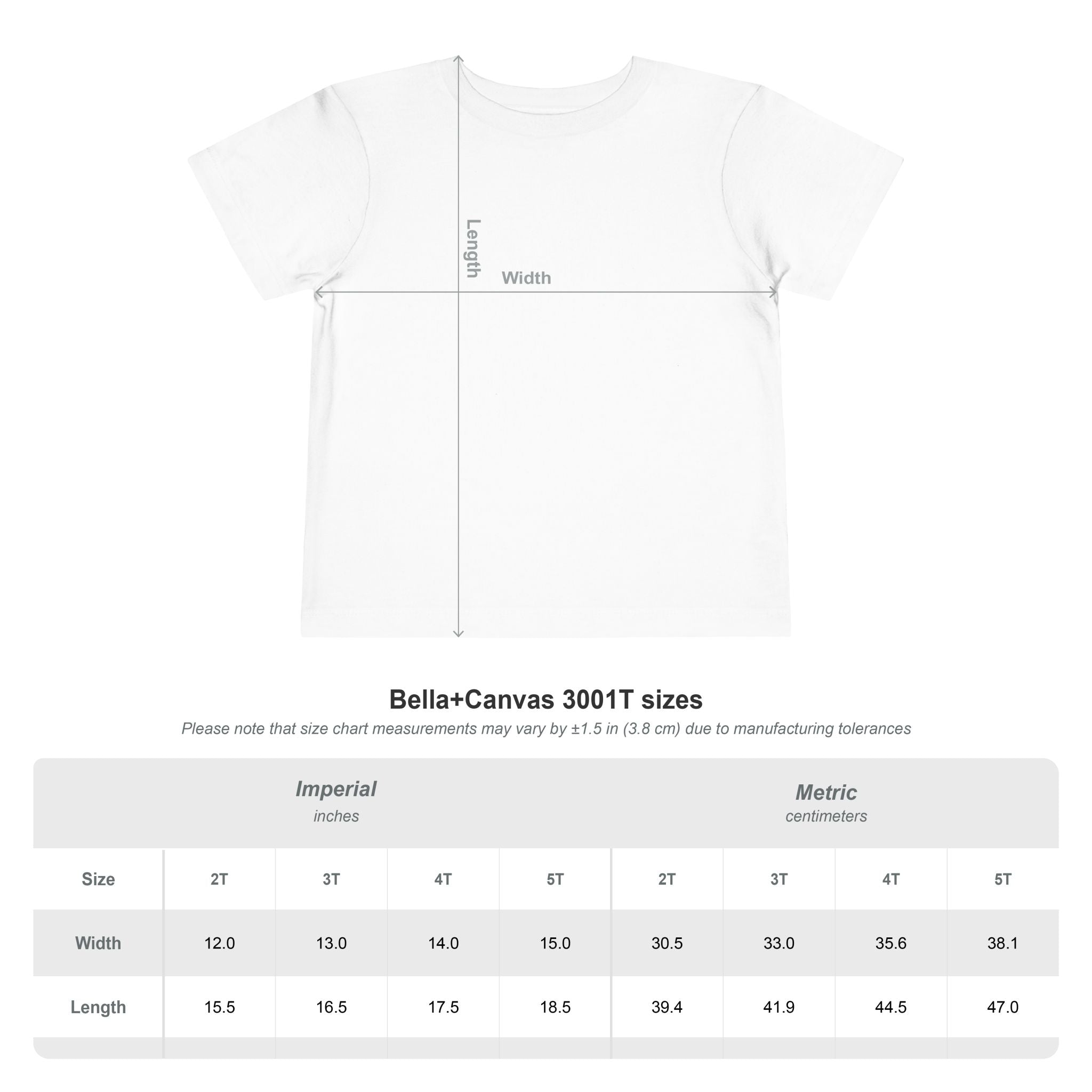 Birthday Boy Toddler Tee — “I’m the Life of the Party” Short Sleeve